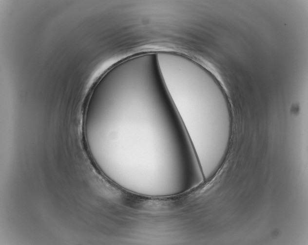 X0000090701179200707200922