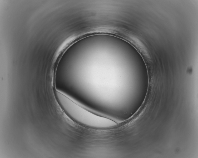 X0000090701180200707200922
