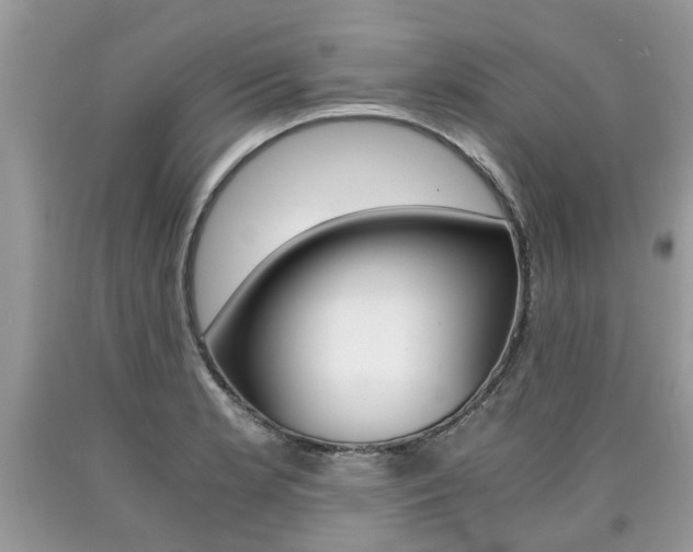 X0000090701181200707200922