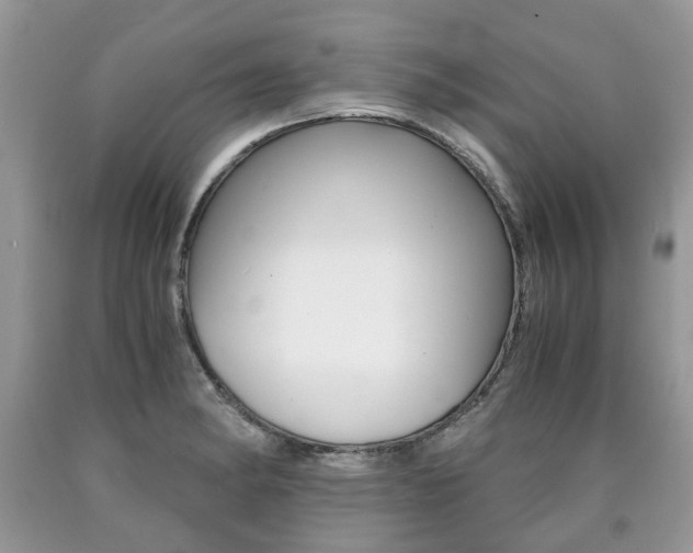 X0000090701182200707200922