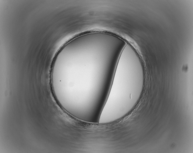X0000090701183200707200922