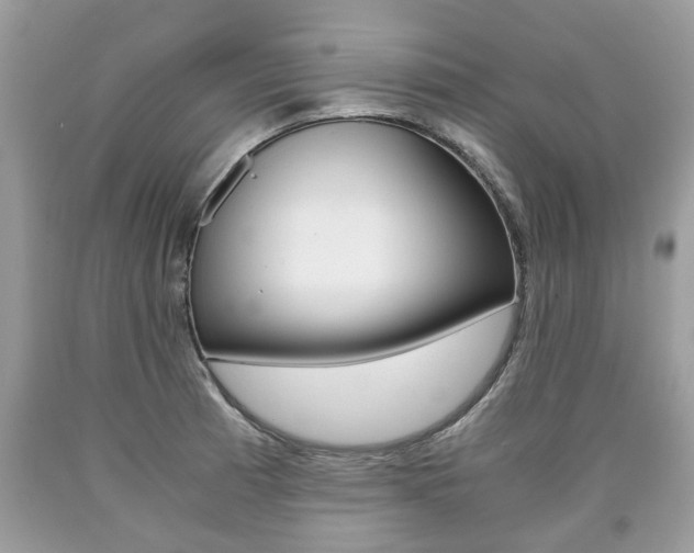 X0000090701185200707200922