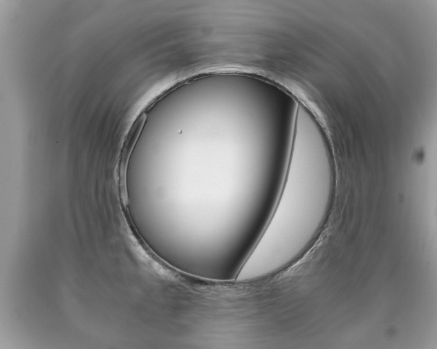 X0000090701189200707200922