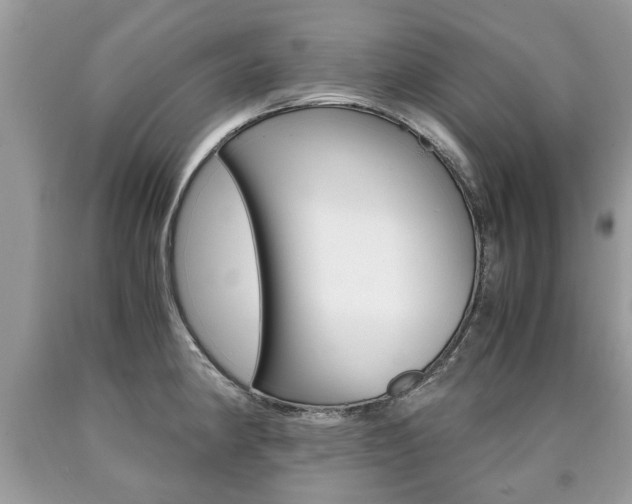 X0000090701190200707200922