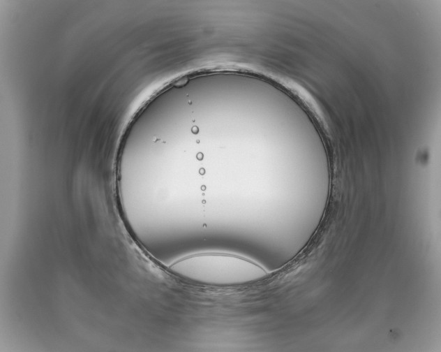 X0000090701191200707200921