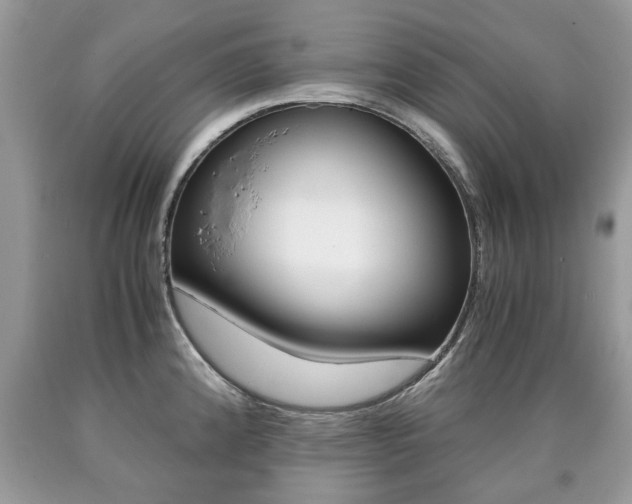 X0000090701192200707200921