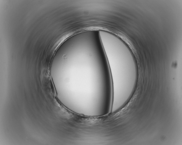 X0000090701193200707200921
