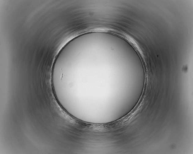 X0000090701194200707200921