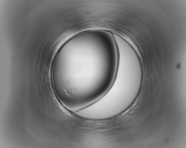 X0000090701197200707200921