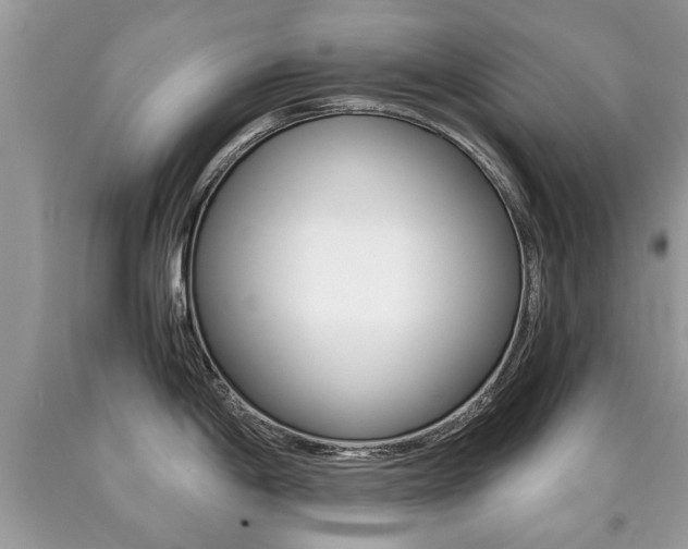 X0000090701198200707200921