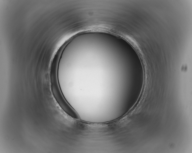 X0000090701200200707200921