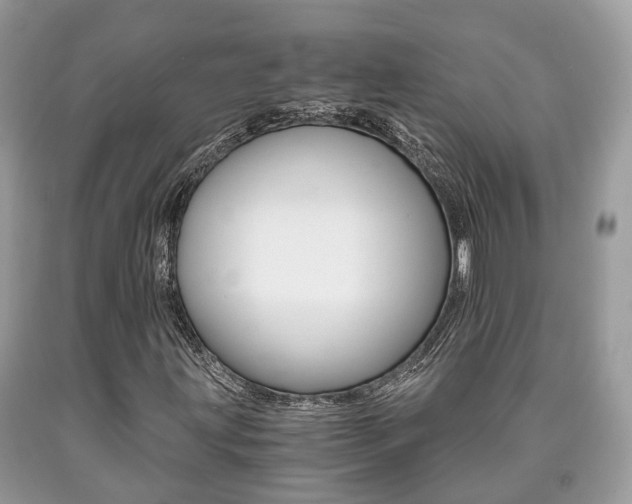 X0000090701203200707200921
