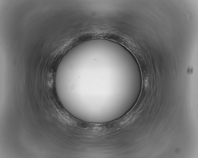 X0000090701204200707200921