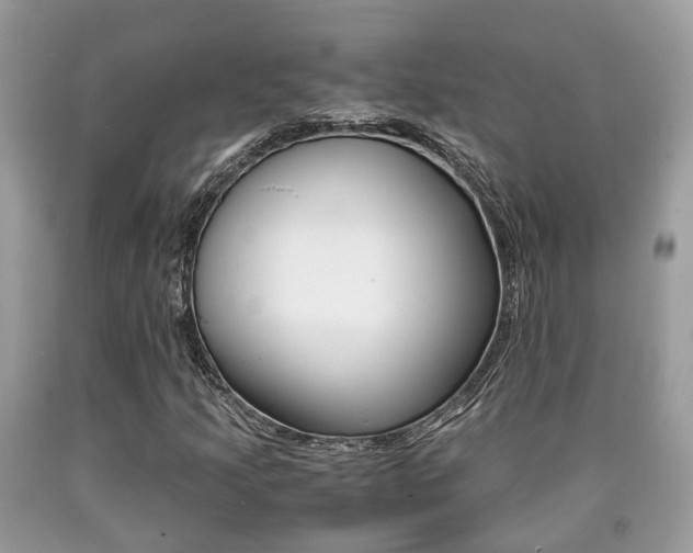 X0000090701205200707200921