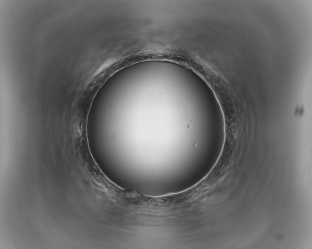 X0000090701206200707200921