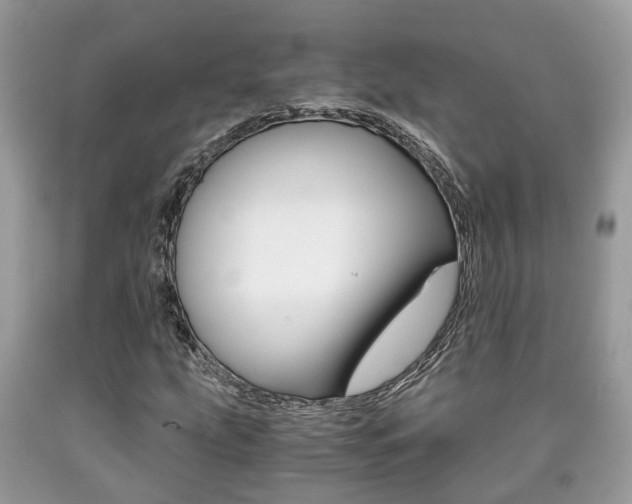 X0000090701207200707200921