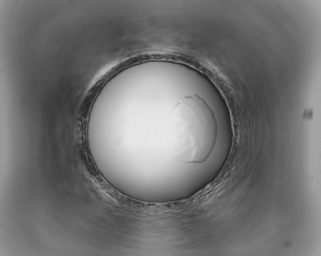 X0000090701208200707200921