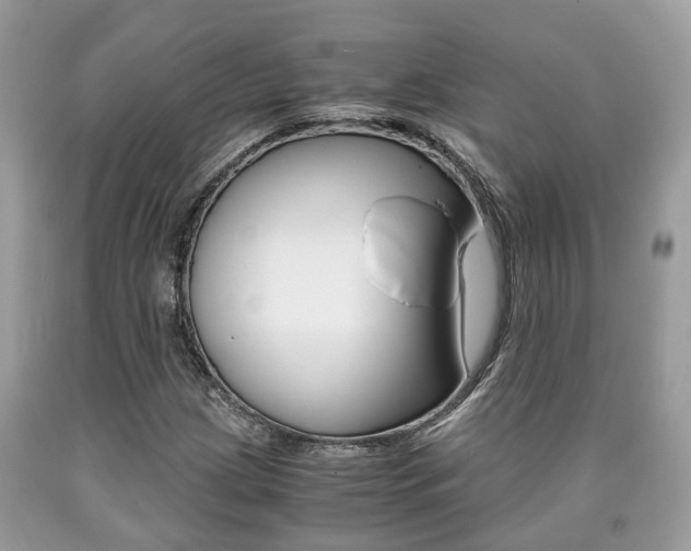 X0000090701209200707200921
