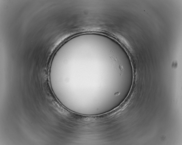 X0000090701212200707200921