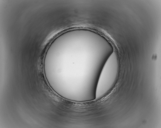 X0000090701215200707200921