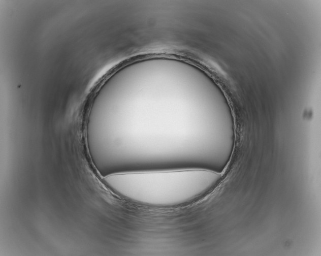 X0000090701216200707200921