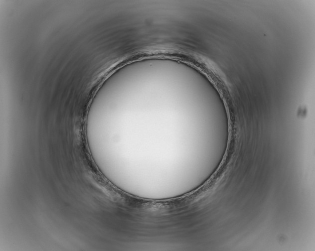 X0000090701217200707200921