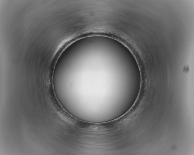 X0000090701218200707200921