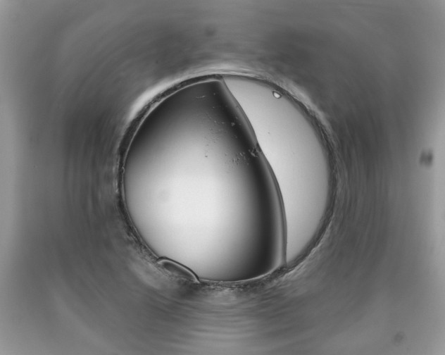 X0000090701222200707200921