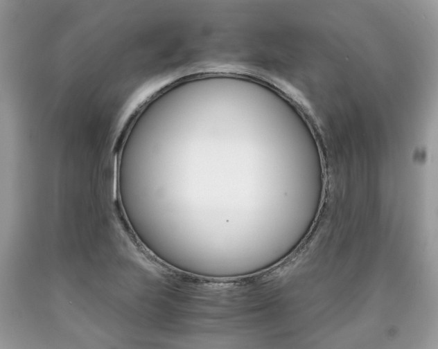 X0000090701223200707200921
