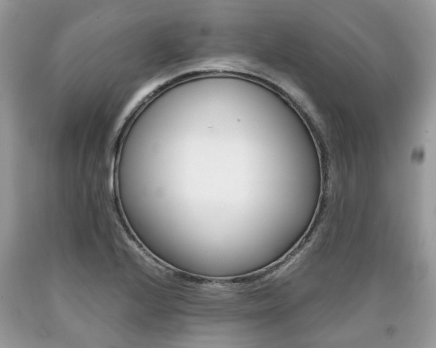 X0000090701224200707200921