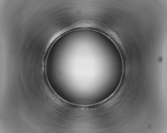 X0000090701226200707200921