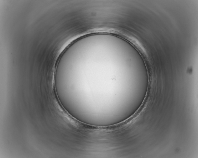X0000090701228200707200921