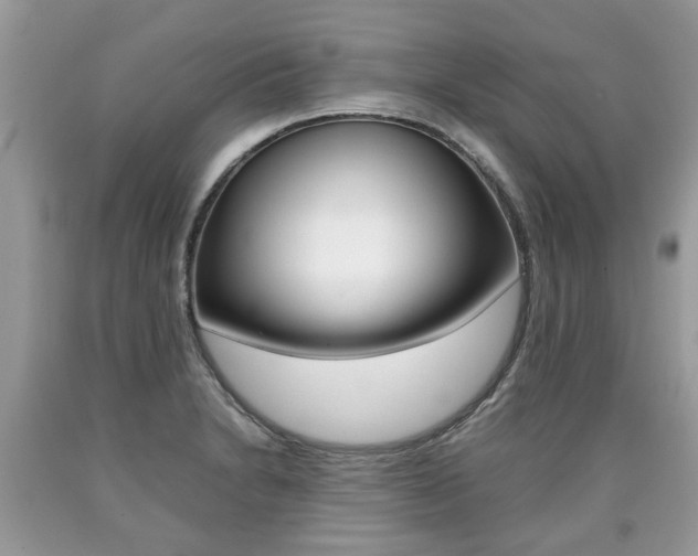 X0000090701230200707200921