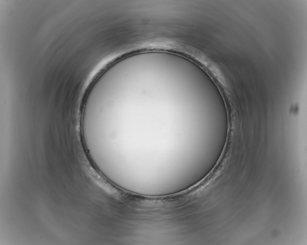 X0000090701232200707200921
