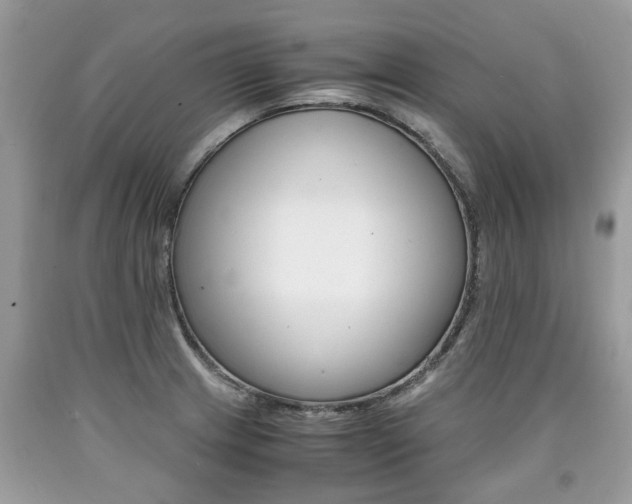 X0000090701233200707200921