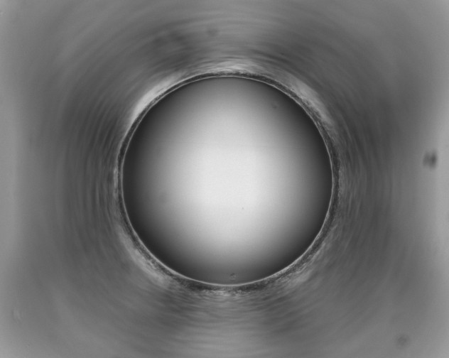 X0000090701234200707200921