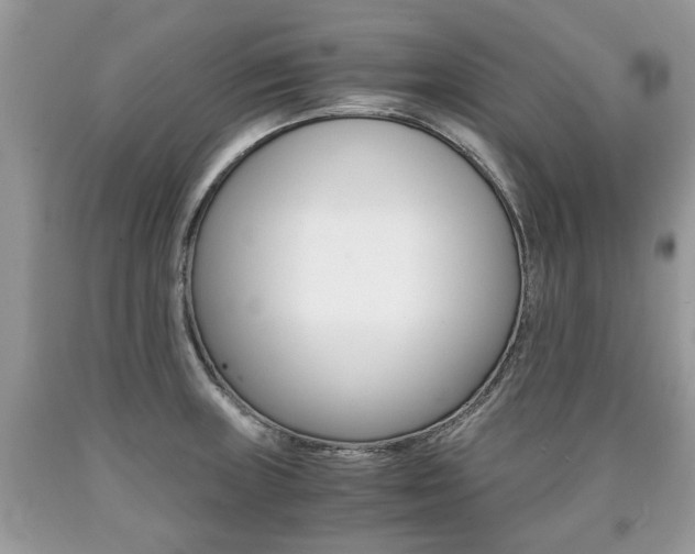 X0000090701235200707200921