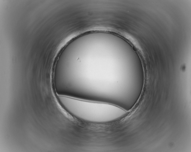 X0000090701237200707200921