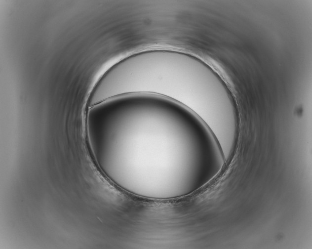 X0000090701238200707200921