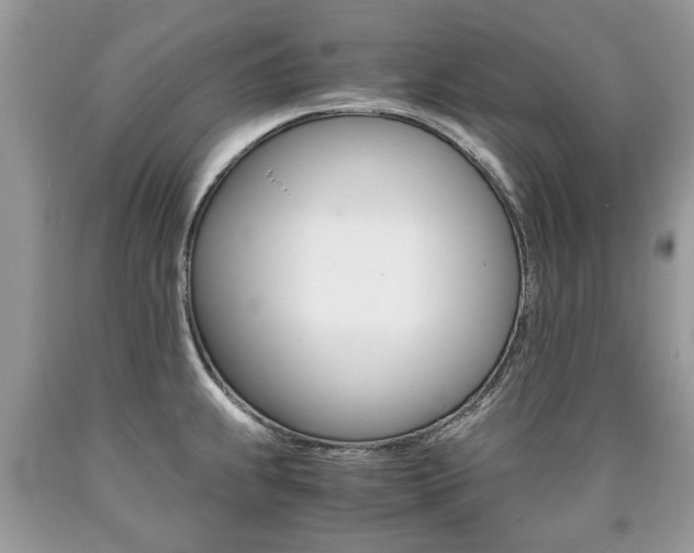 X0000090701239200707200921