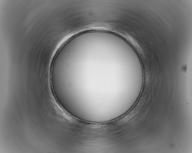 X0000090701240200707200921