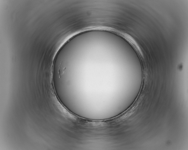 X0000090701244200707200921