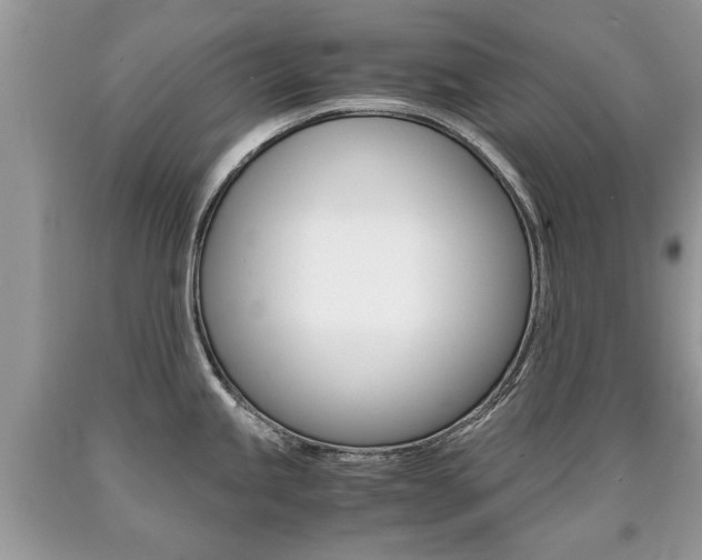 X0000090701245200707200921