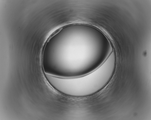 X0000090701246200707200921