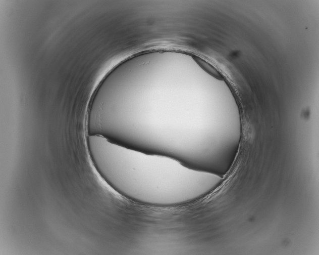 X0000090701247200707200921