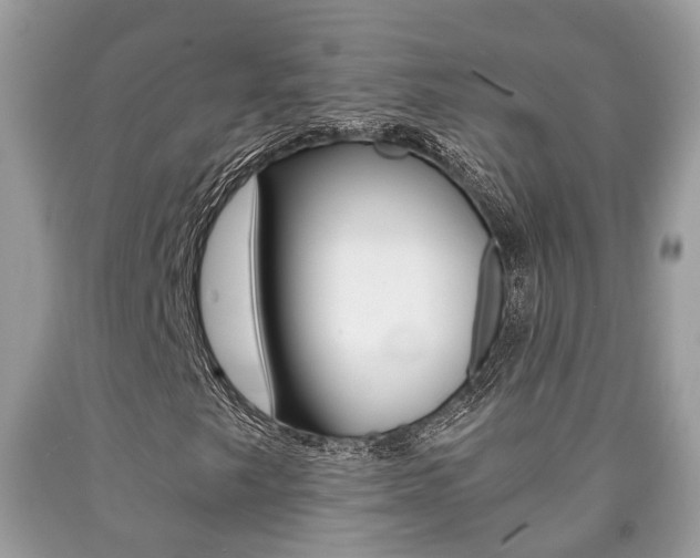 X0000090701249200707200921