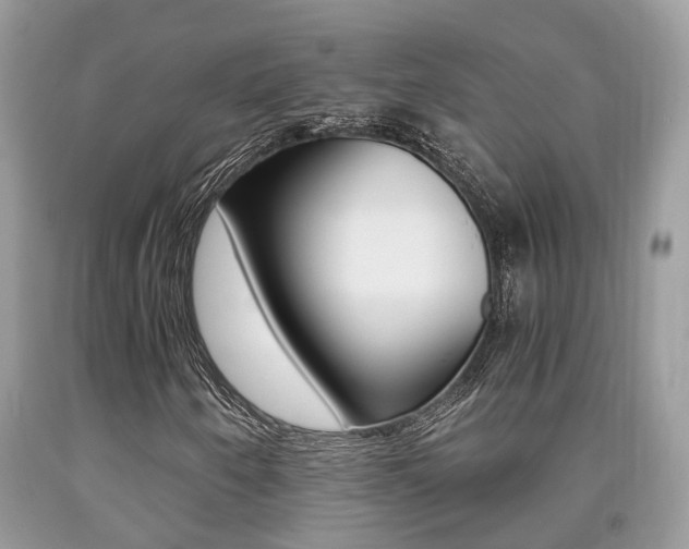 X0000090701250200707200920