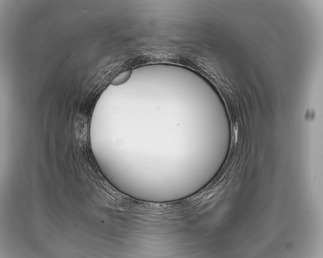 X0000090701251200707200920