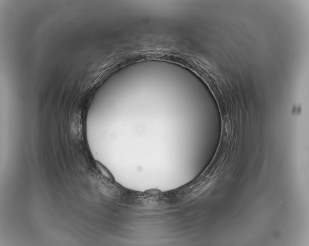 X0000090701252200707200920