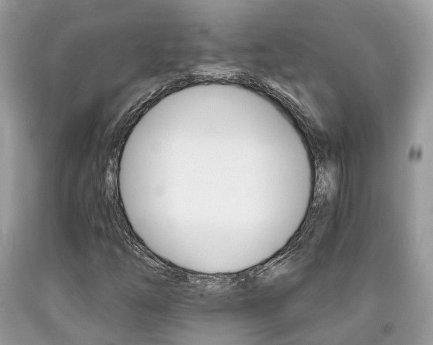 X0000090701254200707200920